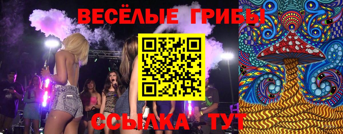 Псилоцибиновые грибы прущие грибы Батайск